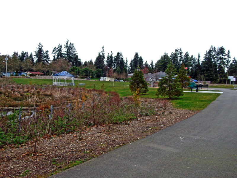 Cromwell Park
