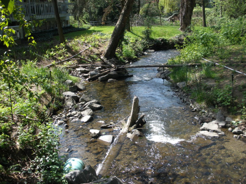 Juanita Creek