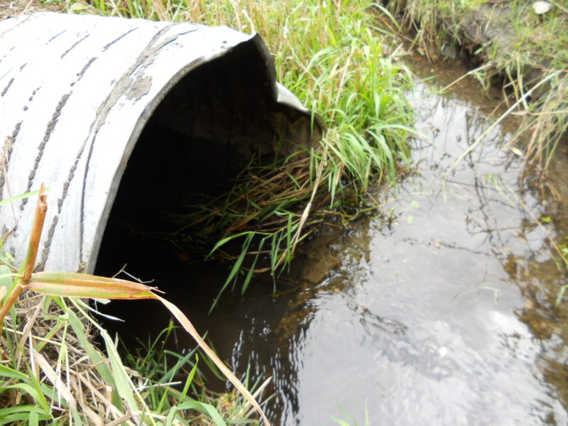 Ash Way Flood Study