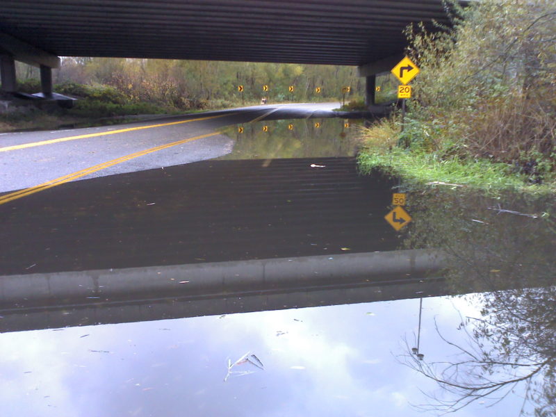 Ash Way Flood Study