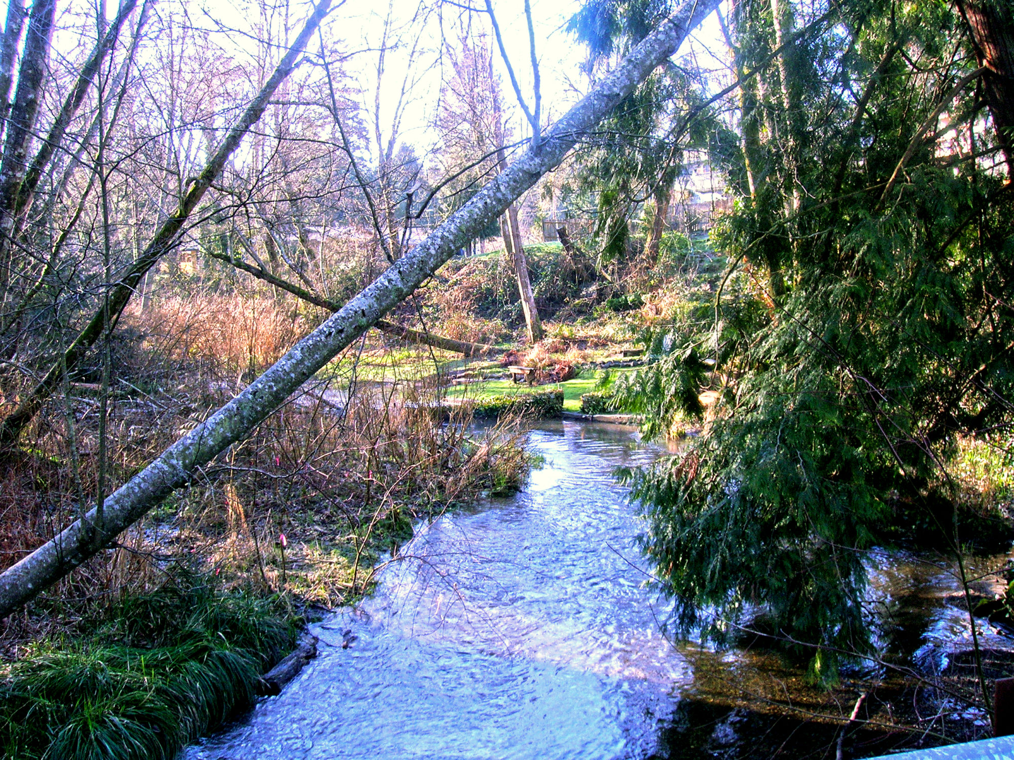 Woodland Creek Estates PACE Engineers, Inc.