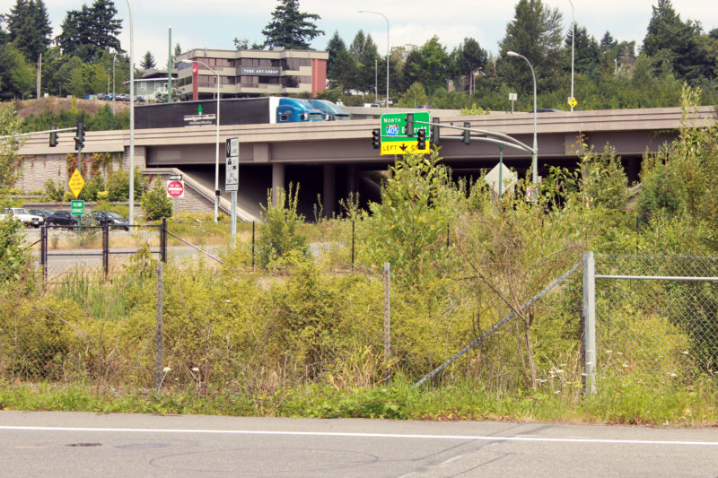 I-405 Bellevue Braids