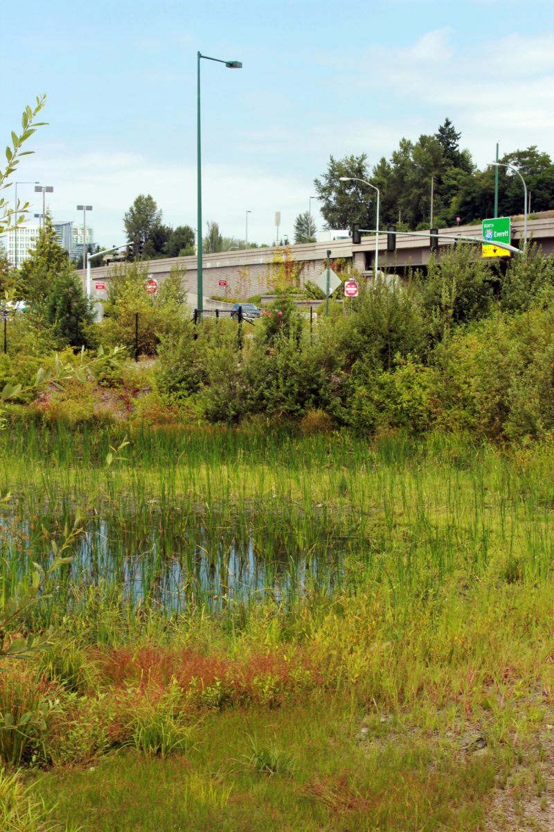 I-405 Bellevue Braids