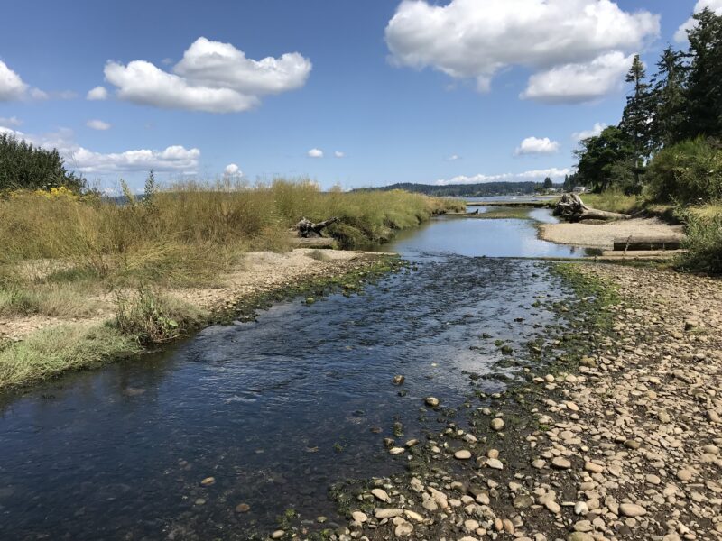 WSDOT - SR 3 / Chico Creek