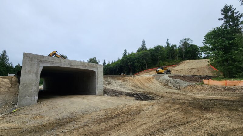 Covington Connector Wildlife Bridge